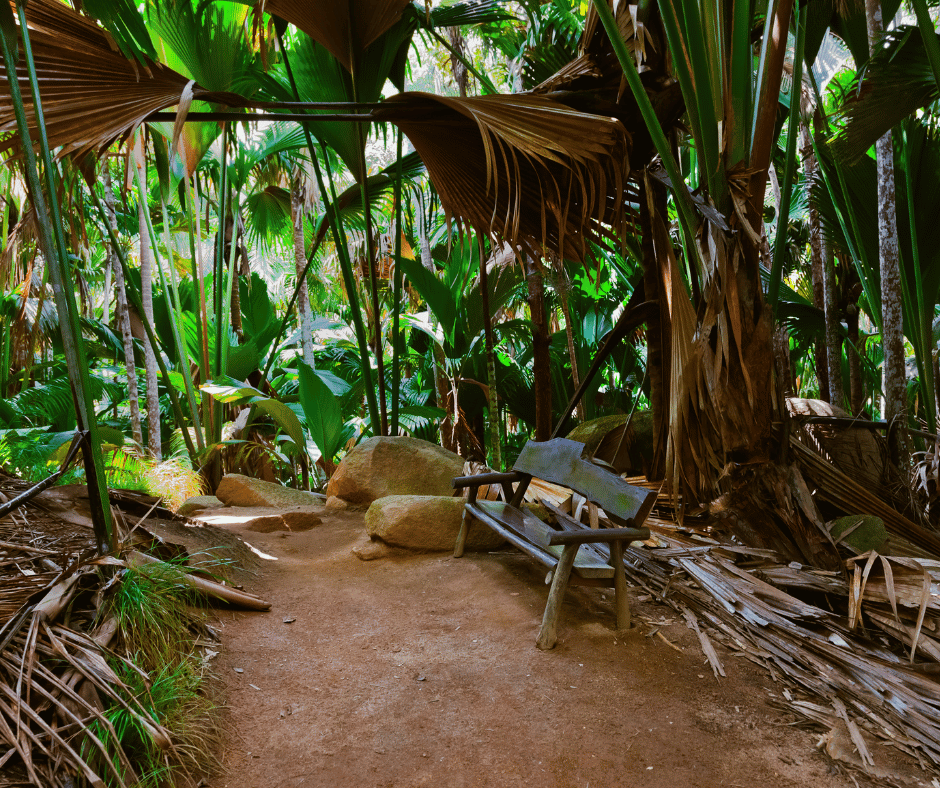 Vallée De Mai